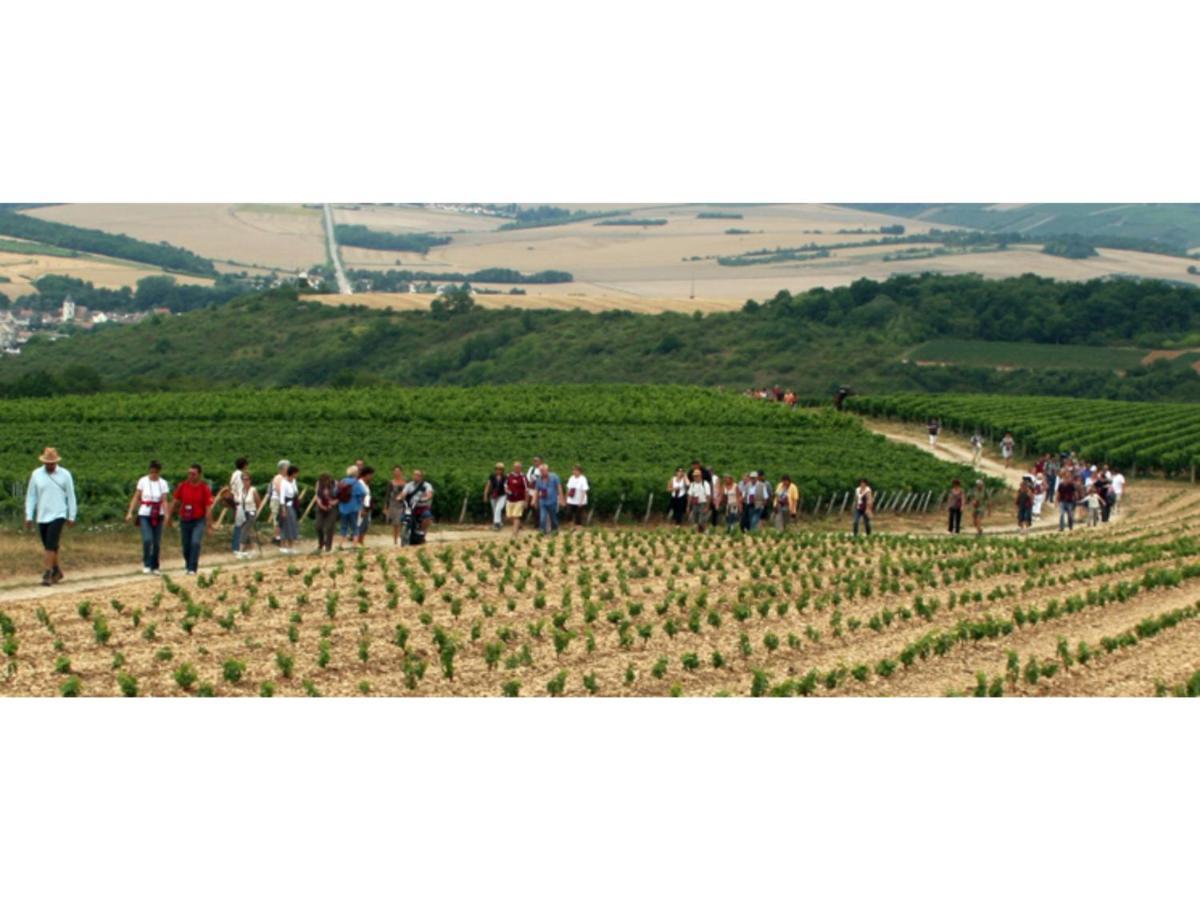 La Croix Au Maitre Hotel Coulanges-la-Vineuse Ngoại thất bức ảnh